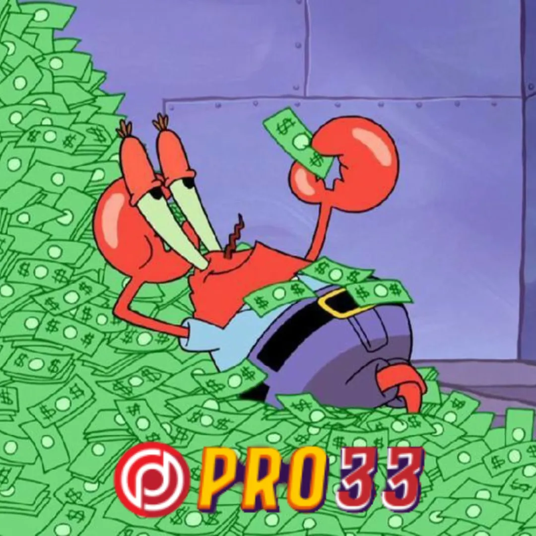 Pro33